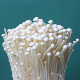 金针菇 