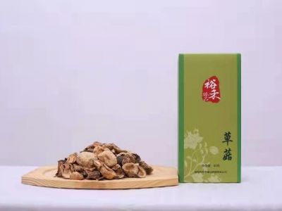草菇