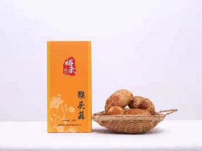 猴头菇