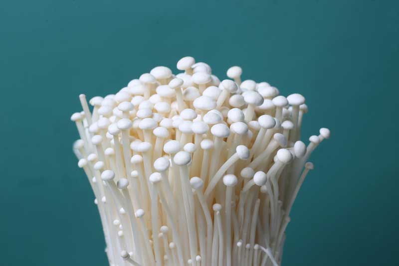 金针菇.jpg