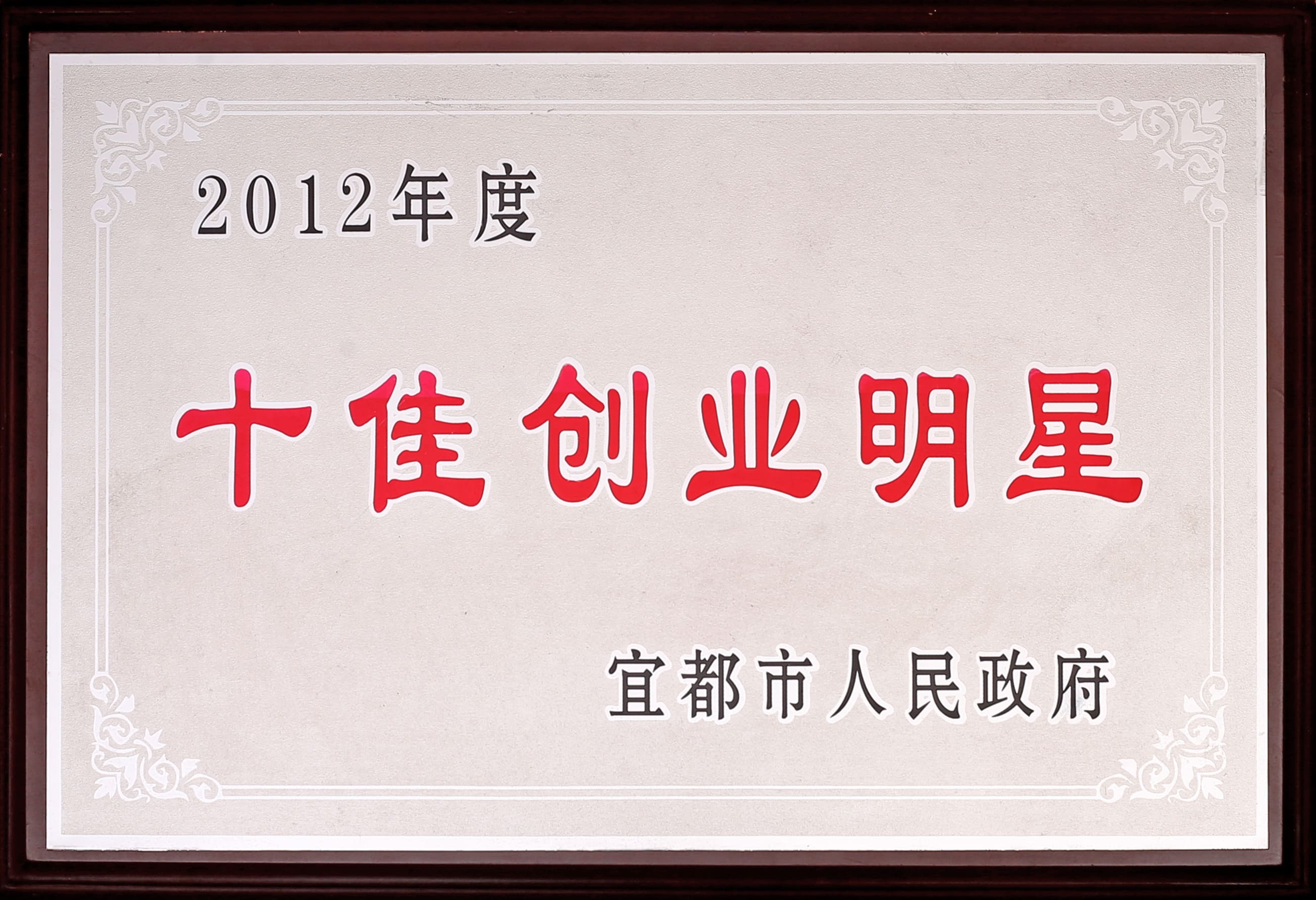 创业明星.jpg
