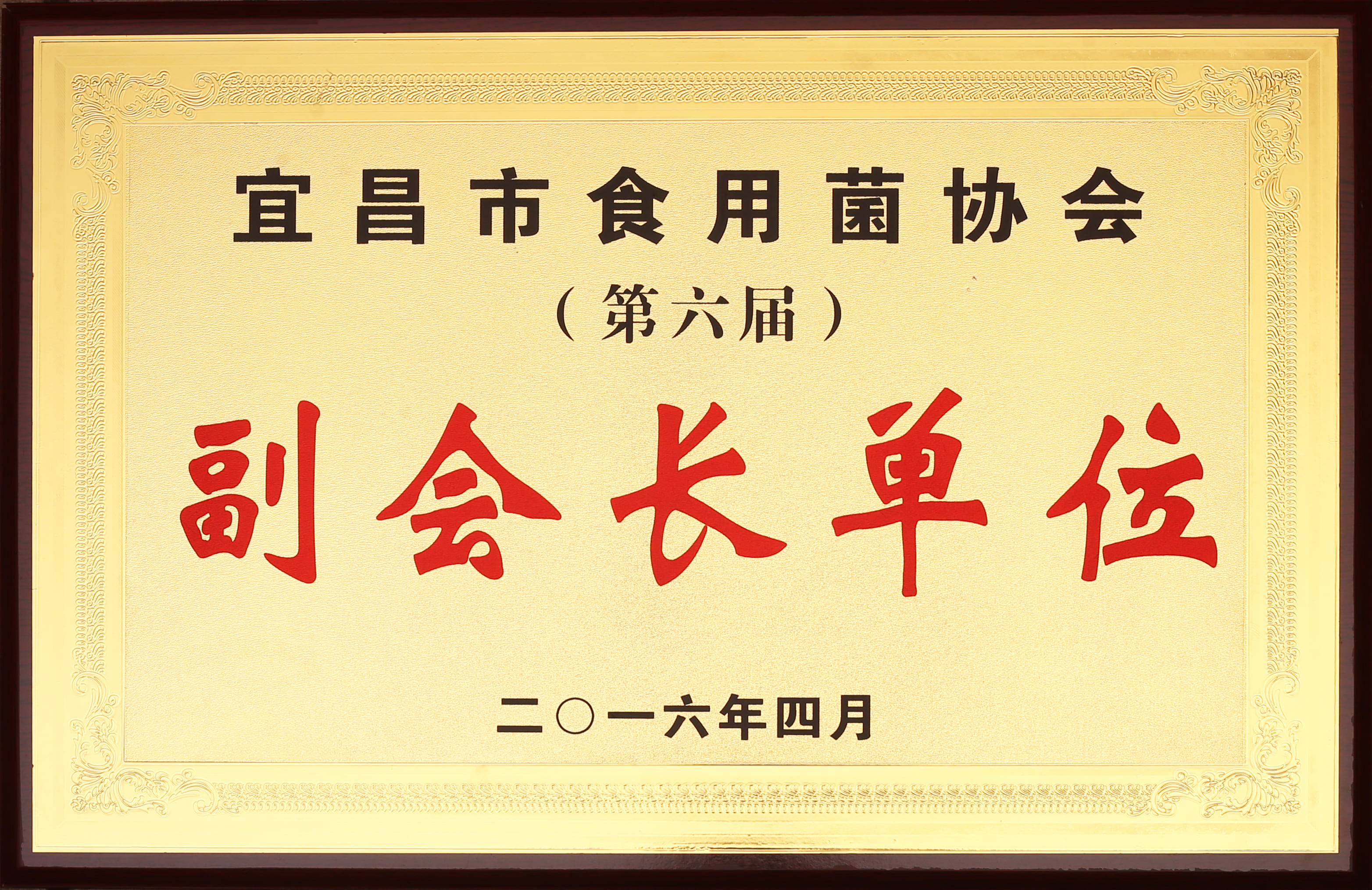 宜昌食用菌协会.jpg