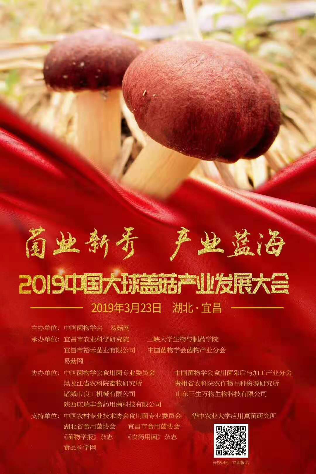 开幕式.jpg