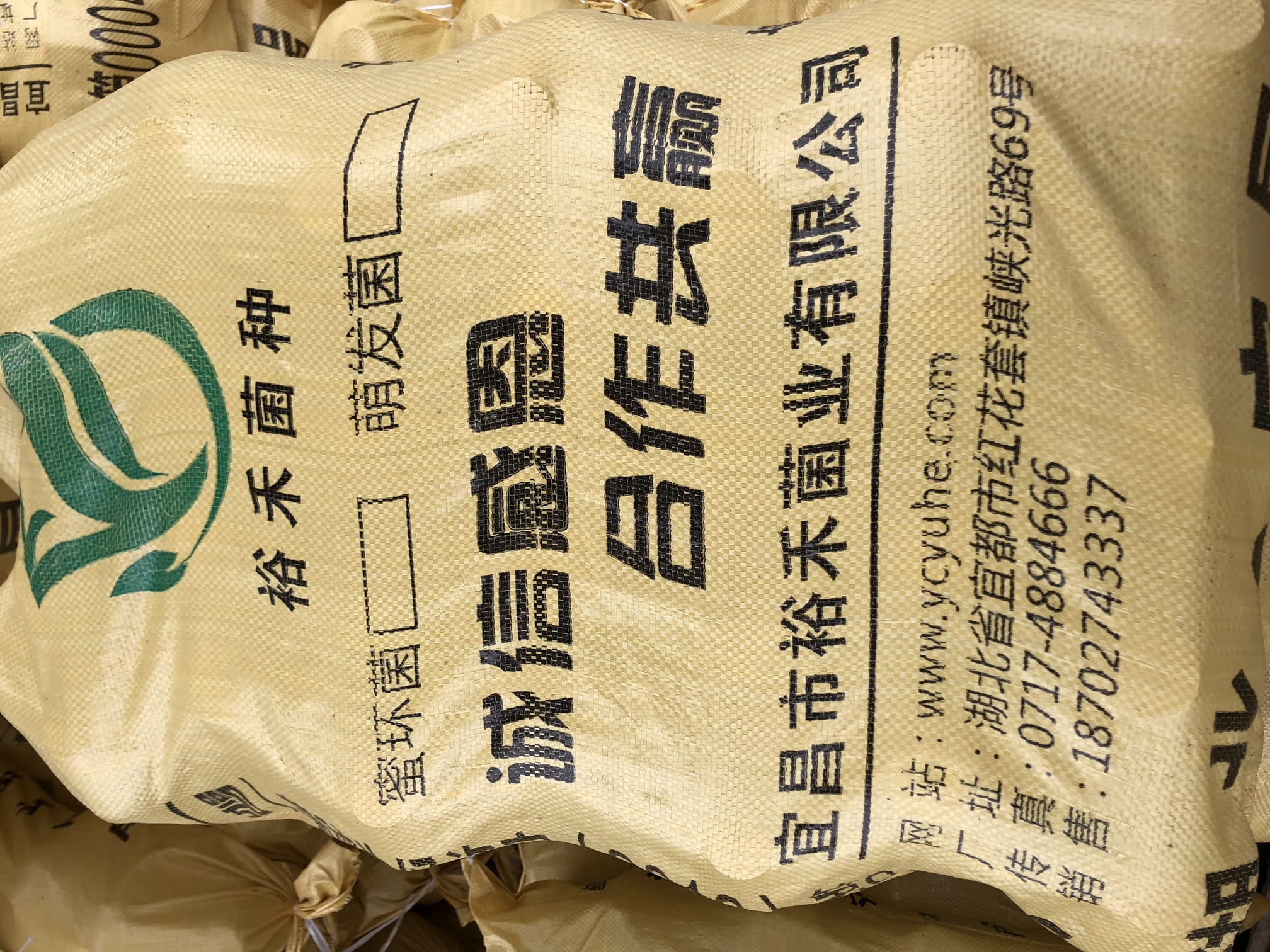 包装好的蜜环菌.jpg