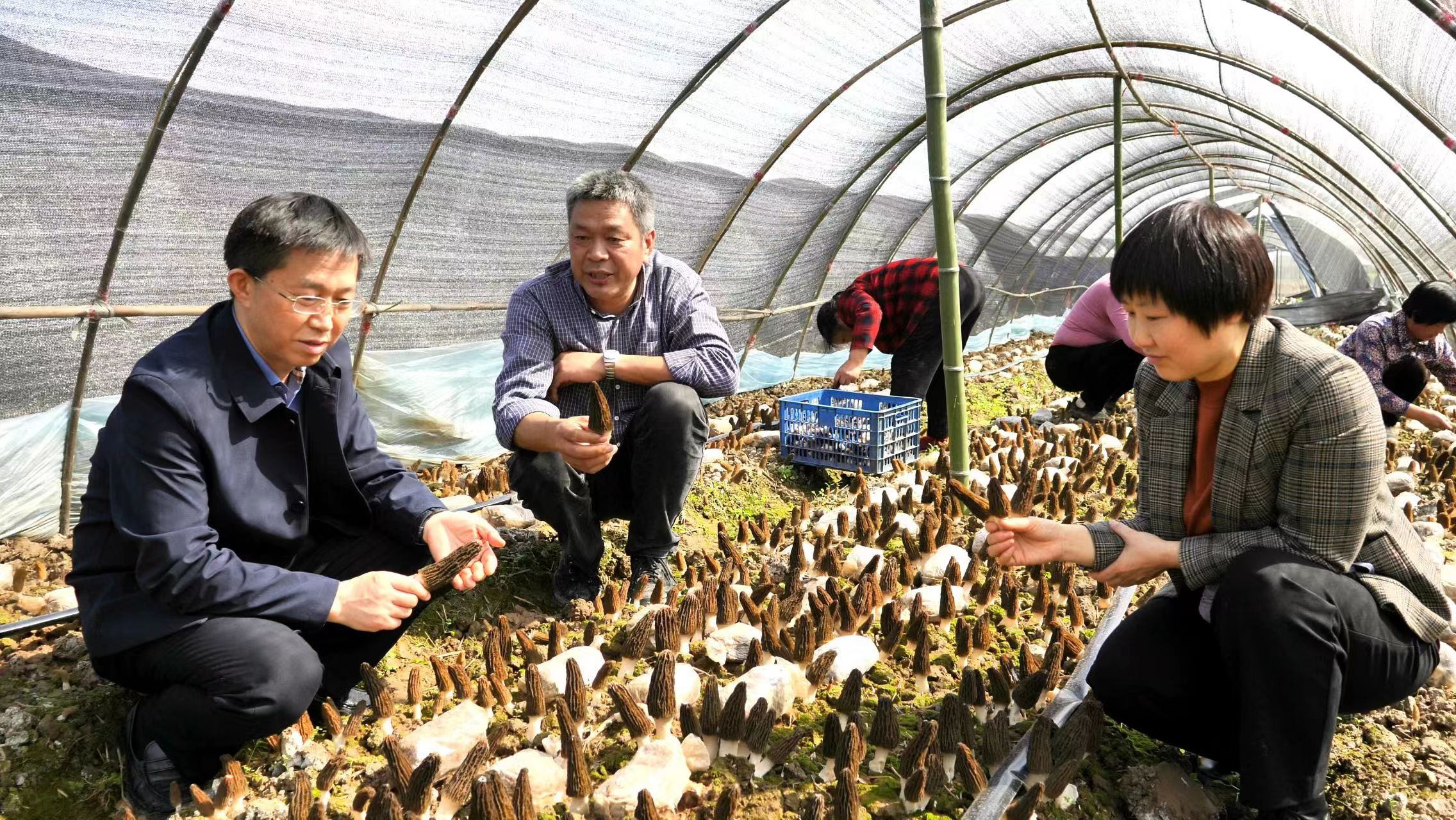 专家教授百里洲基地指导.jpg