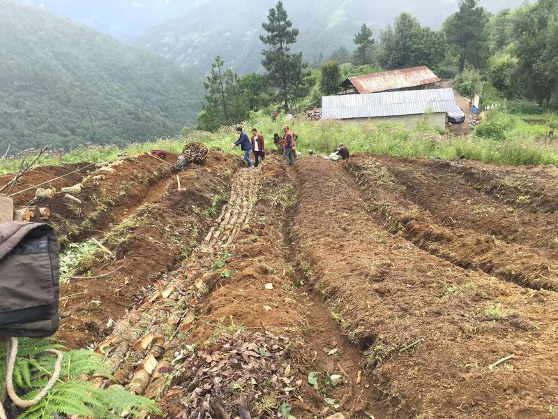 基地播种.jpg