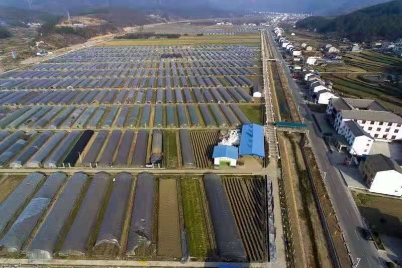 夷陵区分乡基地.jpg