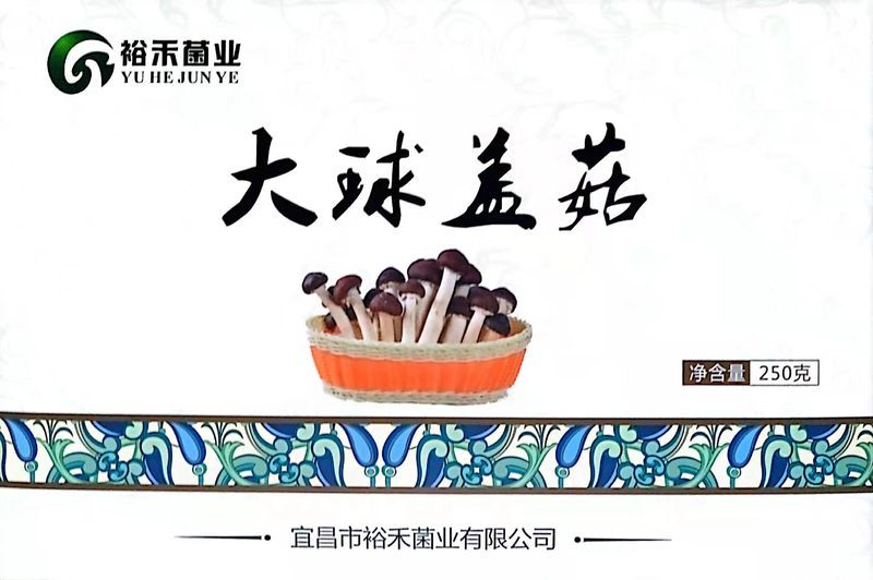 大球盖菇礼盒.jpg